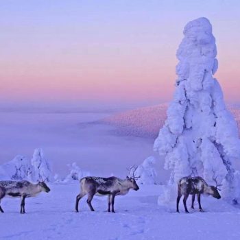 finlandia-2